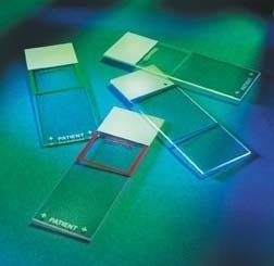 Erie scientific superfrost plus slides : I6172PLUS006