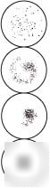 Arlington rpr test cards and pipets, asi 909001-b