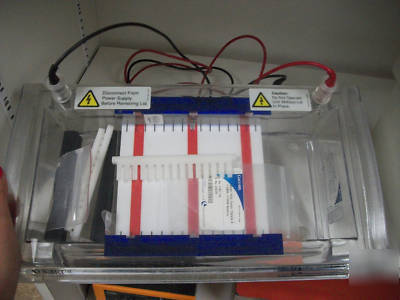 Sunrise gel electrophoresis apparatus & power supply