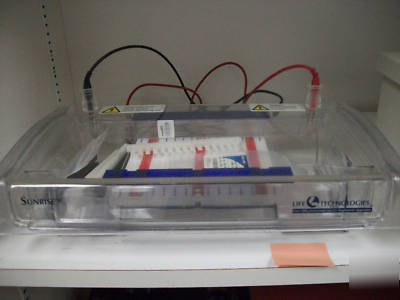 Sunrise gel electrophoresis apparatus & power supply