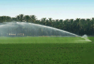 Giant sprinkler, 2