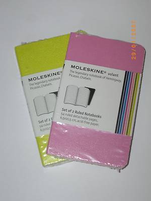 2 x 2 ruled extra small pink+green moleskine notebooks