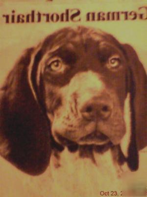Fourteen- work/sport dog collection - one of each 