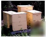 Beekeeping how to get started beekeeping dvd