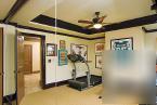 Wholesale gym mirrors