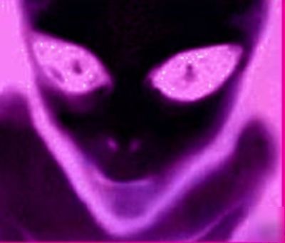 Out if this world adult master hosting reseller offers