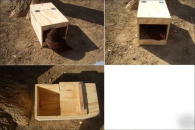 Egg saver nest box for bantams chicken nesting box