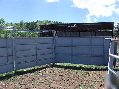 Pearson complete cattle chute
