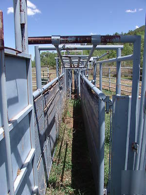 Pearson complete cattle chute